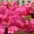 점촌중학교 이미지