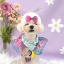 오도르봉 이미지