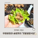 고인돌 갈비&쌈밥 | 고창 텃밭쌈밥식당 솔직후기｜고창에서 가볍게 먹기 좋은 쌈밥집