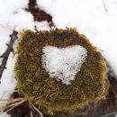 청태산자연휴양림 이미지