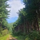 강원도자연환경연구공원 이미지