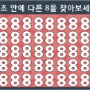 바쁜 일상이지만, 잠시나마 정신을 환기시킬 수 있는 작은 힐링의 시간이 되시길 바랍니다. 이미지