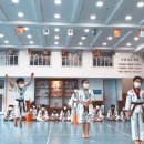 적성태권도장 이미지