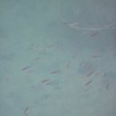 삼정펜션 이미지