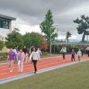 무릉초등학교 이미지