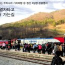 여행나라여행사 이미지