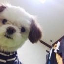 산골주막집 이미지