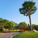 블루원CC (대중제) 이미지