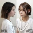 신세계헤어 - 도봉구 | 신세계헤어