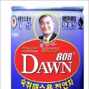 여명 이미지