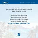 커피하와이