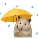 바디복싱짐 이미지