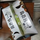 단양 여름 뚜벅이 여행 후기 : 패러글라이딩/도담삼봉&amp;석문/만천하스카이워크/숙소와 맛집 추천!