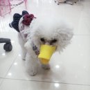 폴리파크 반송점 이미지