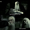 캡틴코리아태권도(옥길점) | 스위스는 거꾸로 해도 스위스(1일차)