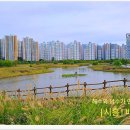 배곧생명공원 이미지