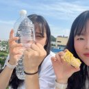 다시는 밀리지 말아야지_2024.05~6