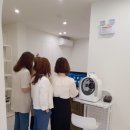 미르메딕스 이미지