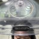 정자동 미용실 비롬헤어 예원디자이너 두피,모발 클리닉 솔직후기