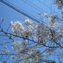 즐거운 노래방 이미지