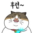 현대베스트공인중개사사무소 이미지