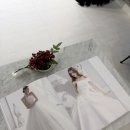 브라이영 드레스투어 주말방문 후기 (당일지정 혜택, 내부 인테리어, 분위기)