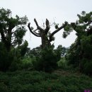 호근동-7 이미지