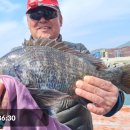 영등라인1 이미지