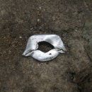 미당서정주의 집 이미지