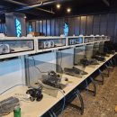 에이플 PC CAFE 이미지