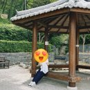 송동로-1 이미지