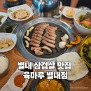 별내고기집 육마루 별내점 점심특선 별내삼겹살과 육회비빔밥 후기