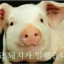 시원하오 - 마포구 상암동 | 시원하오