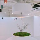 효성몬테소리어린이집 이미지