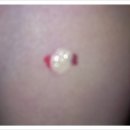 올베이스 이미지