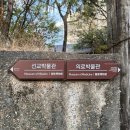 대구 청라언덕 근대골목 의료선교 박물관 제일교회 벚꽃 포토존