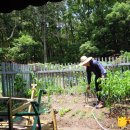 신방학초교 이미지