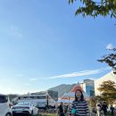 별 거 없는 주말. 창원단감축제/봉암갯벌생태학습장