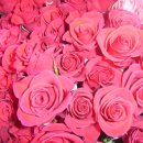 미림화원 이미지