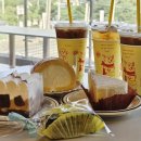 미앤마이독스 이미지