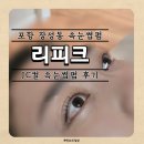 포항 장성동 환호힐스 근처 속눈썹펌 잘하는 '리피크', 눈매에 맞게 JC컬 대만족한 후기
