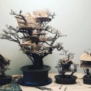 나무안에서 이미지