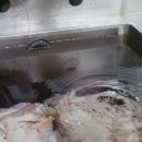 오동족발 이미지