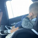 김밥예쁘게드세요 이미지