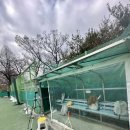 내곡동279 | [테니스장]서울 서초구 내곡테니스장 이용후기 및 예약방법