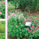 (주)나비원 이미지