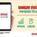 카디프