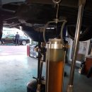 창일카마스타 이미지