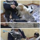 엔젤모텔 이미지