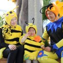 꿀벌나라테마공원 이미지